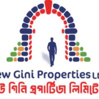New Gini Properties ltd logo