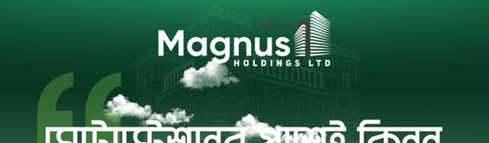Magnus Holdings Ltd banner