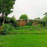 Floors Images