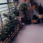 Floors Images