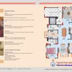 Floors Images