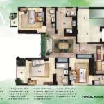 Floors Images