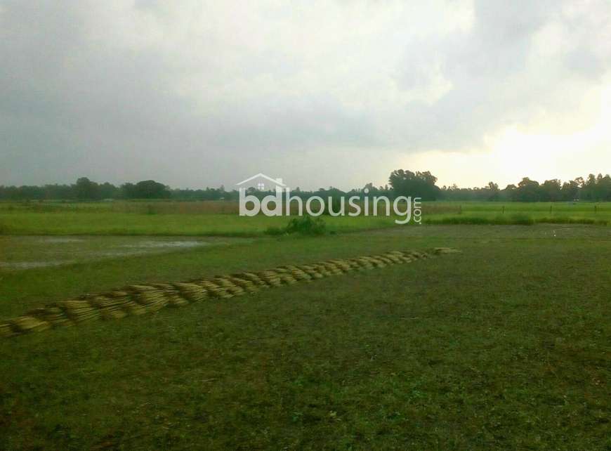 বরাইদ , Agriculture/Farm Land at Keraniganj