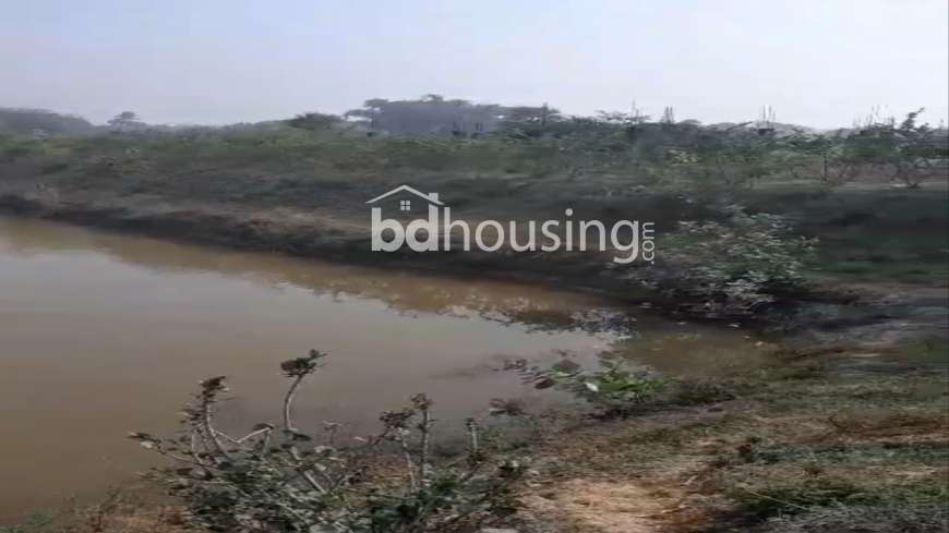 100 Bigha Farm Land and 24.5 Bugha Pond For Sell in Rajshahi Godagari, Agriculture/Farm Land at Sagor Para