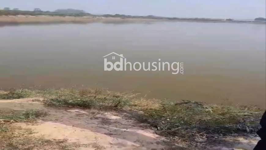 100 Bigha Farm Land and 24.5 Bugha Pond For Sell in Rajshahi Godagari, Agriculture/Farm Land at Sagor Para