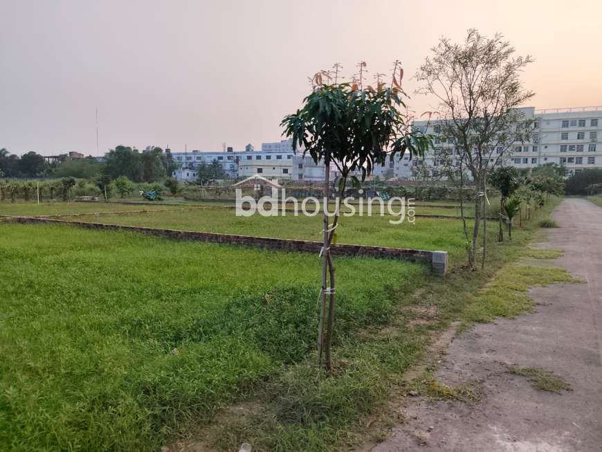 সহিদ নগর, রেসিডেন্সিয়াল প্লট , Residential Plot at Uttar Khan