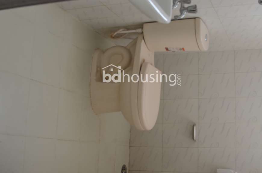 স্নেহনীড়, Apartment/Flats at Mirpur 1