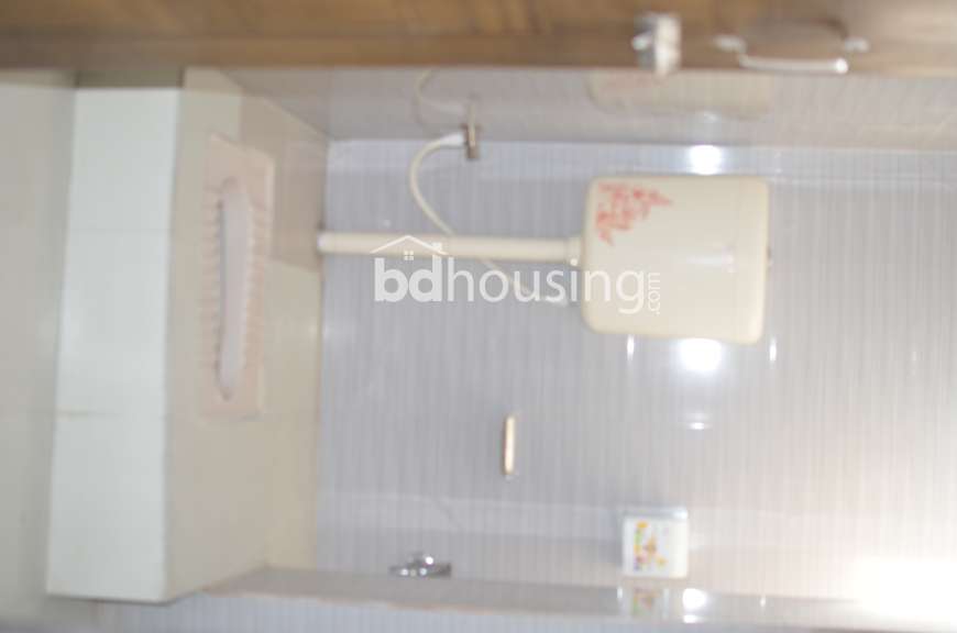 স্নেহনীড়, Apartment/Flats at Mirpur 1