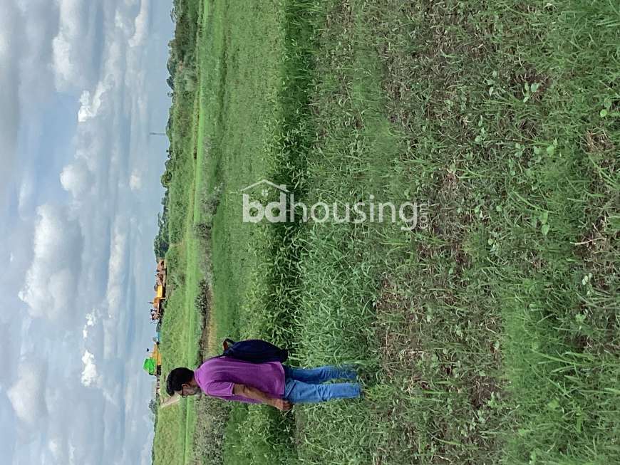 Own, Agriculture/Farm Land at Sirajdikhan