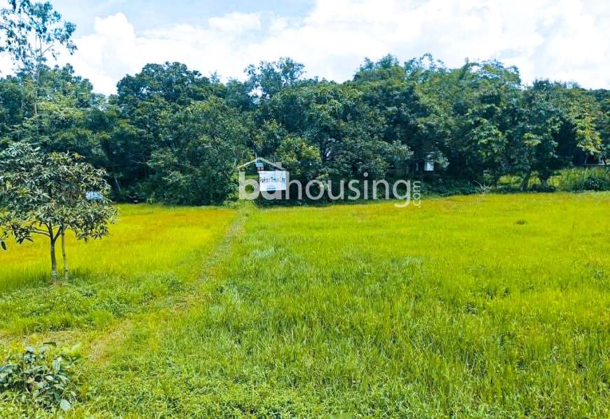 Fujisan Green City, Residential Plot at Purbachal