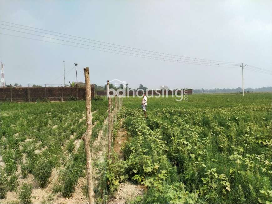Industrial Land Sale at Mirsharai Economic Zone, Commercial Plot at Shitakundo