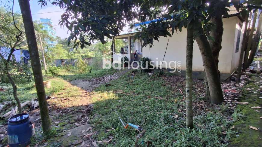 মনোরম পরিবেশে জমি সহ বাড়ি বিক্রয়।, Residential Plot at Tongi