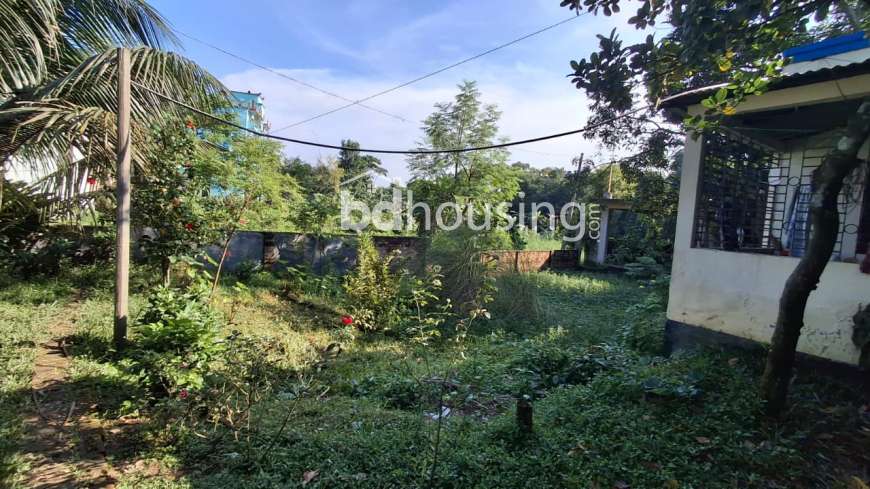 মনোরম পরিবেশে জমি সহ বাড়ি বিক্রয়।, Residential Plot at Tongi