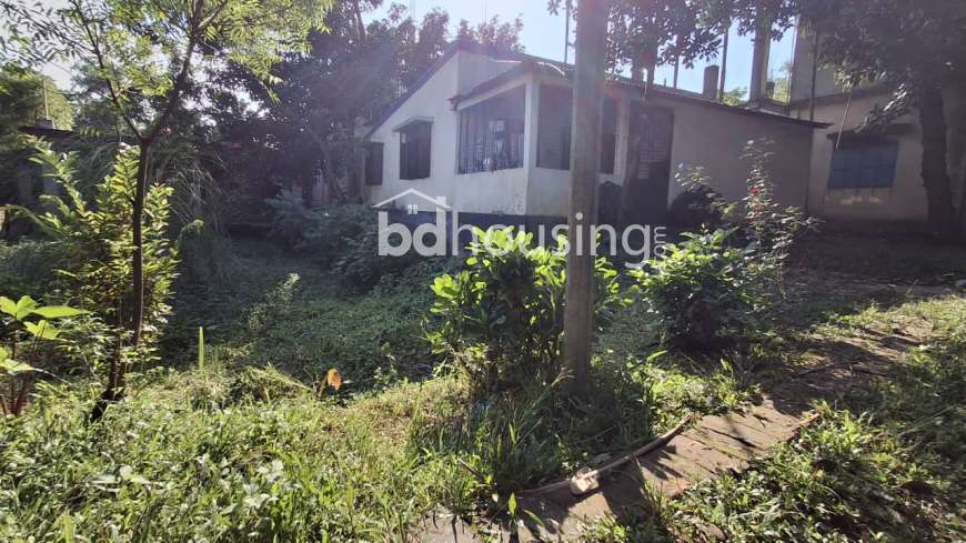 মনোরম পরিবেশে জমি সহ বাড়ি বিক্রয়।, Residential Plot at Tongi