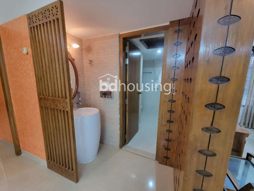 WDL- Thaya, Apartment/Flats at Bashundhara R/A