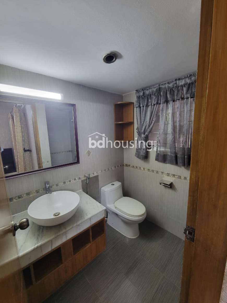 WDL- Thaya, Apartment/Flats at Bashundhara R/A
