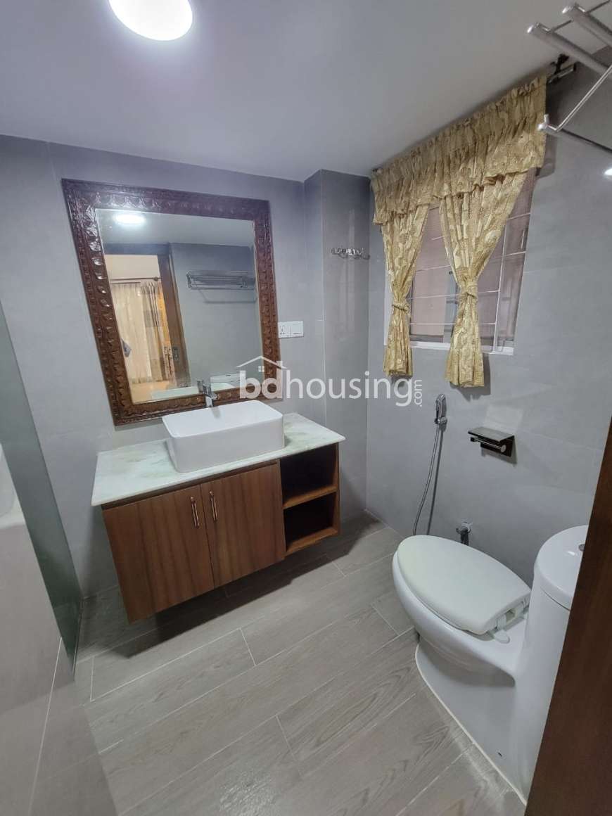 WDL- Thaya, Apartment/Flats at Bashundhara R/A