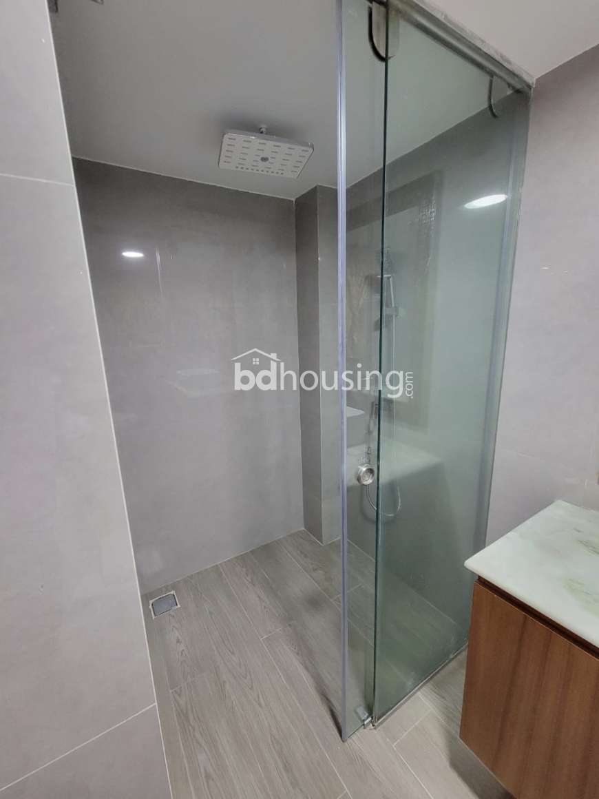 WDL- Thaya, Apartment/Flats at Bashundhara R/A