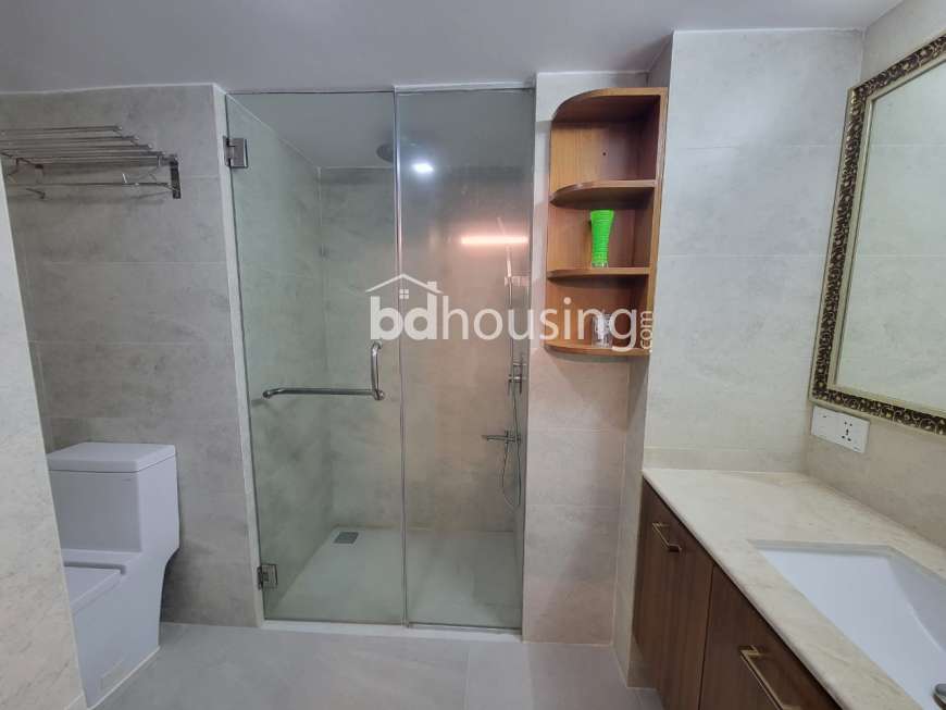 WDL- Thaya, Apartment/Flats at Bashundhara R/A
