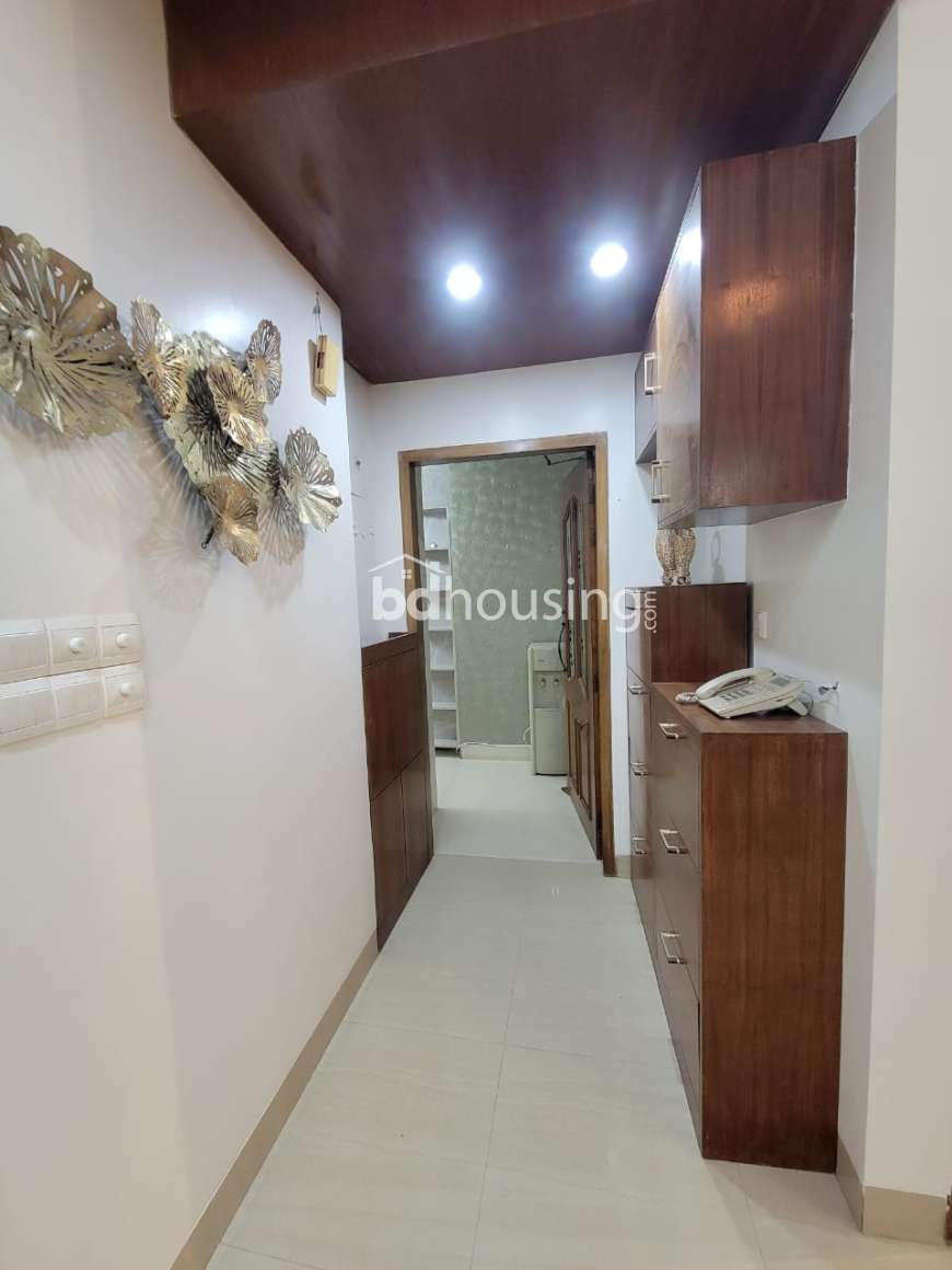 WDL- Thaya, Apartment/Flats at Bashundhara R/A
