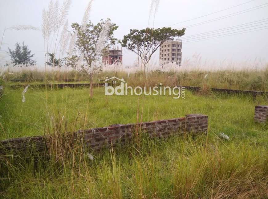Bashundhara Block  - N, Residential Plot at Bashundhara R/A