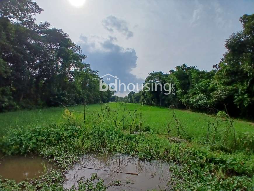 60 decimal land sale, Agriculture/Farm Land at Rashid Chattar