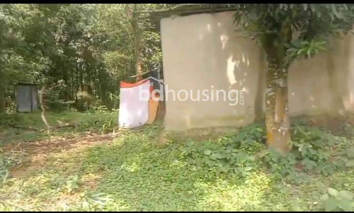 Gazipur land for sale, Agriculture/Farm Land at Kaliakoir