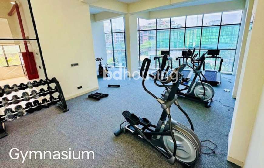 Rupayan Lake Castle, Apartment/Flats at Bashundhara R/A