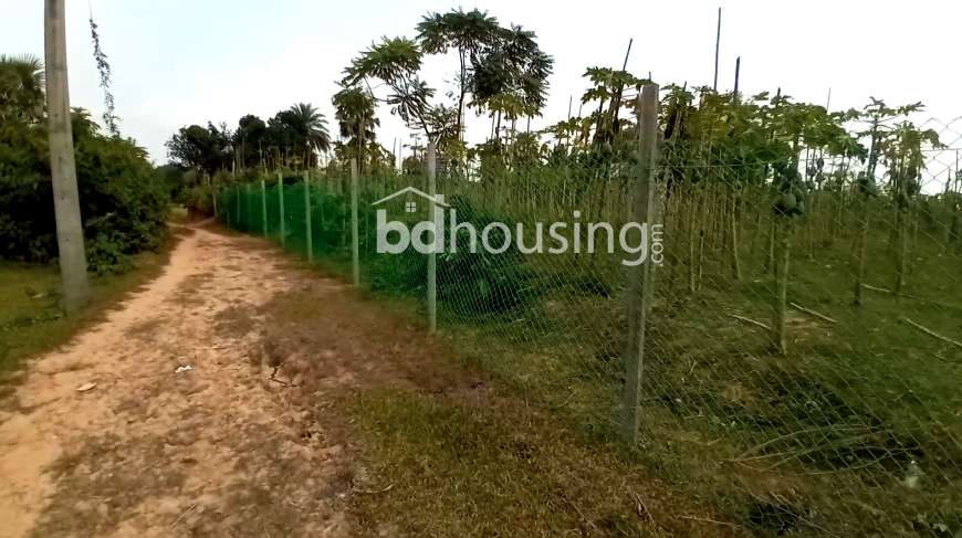 90.25 decimal land with a bungalow house for sale at a low price., Residential Plot at Gazipur Sadar