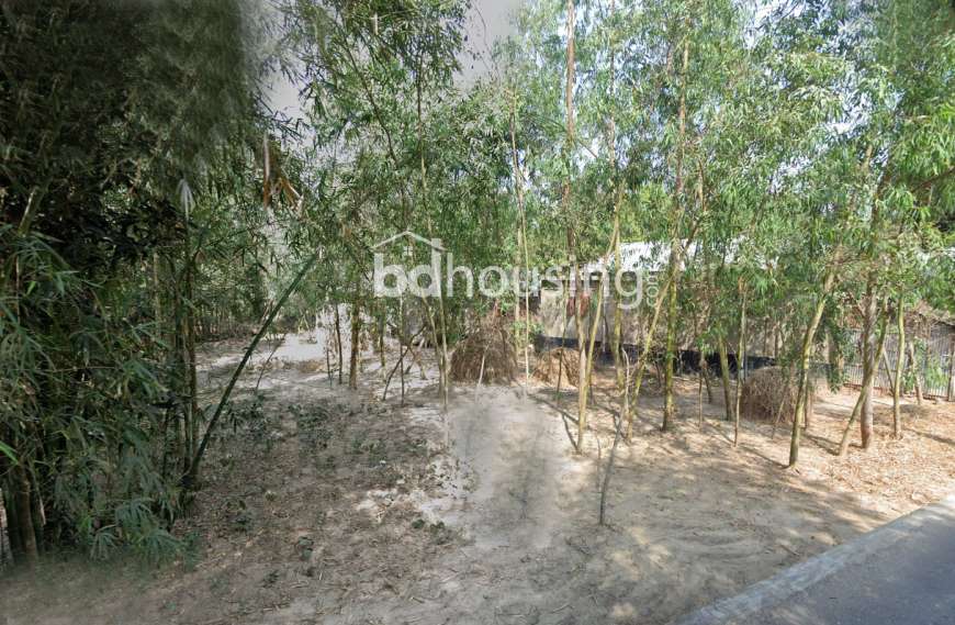 জরুরি ভিত্তিতে ১২ শতক প্লট বিক্রয়!, Agriculture/Farm Land at Sreemangal