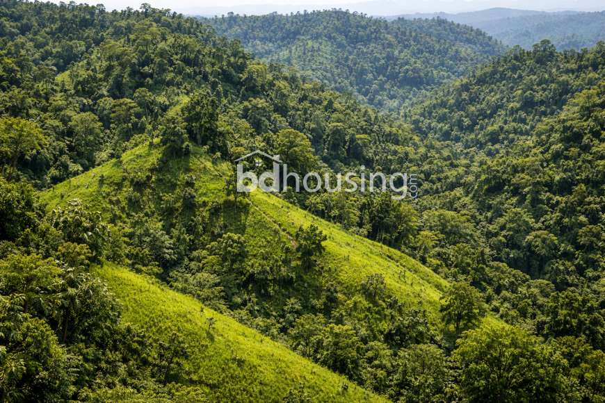 Land in rangunia,ranirhatt, Commercial Plot at Boalkhali