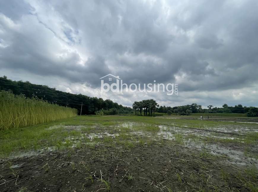 খুলনা-সাতক্ষীরা মহাসড়ক সংলগ্ন ১০ বিঘার অধিক প্রাইম কমার্শিয়াল জমি বিক্রয়, Commercial Plot at Gollamari