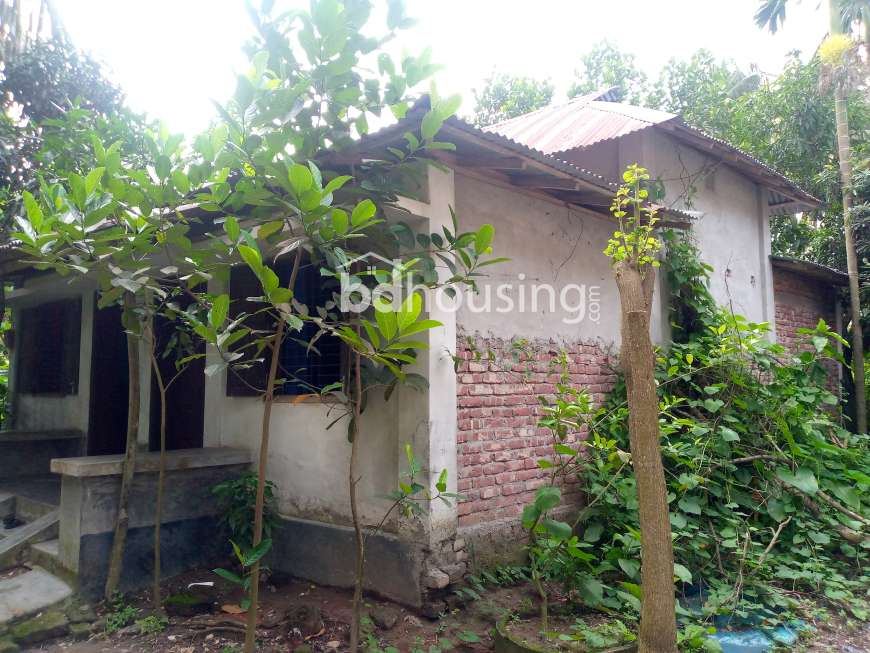 ৪ শতাংশ ১০ পয়েন্ট জমি ঘরসহ বিক্রি।Residential plot for sale in bhola sadar, Residential Plot at Barisal Sadar