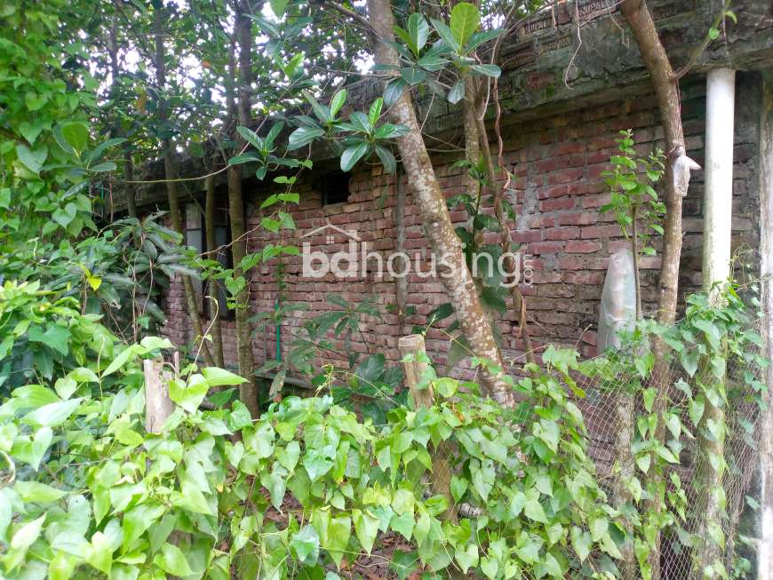 ৪ শতাংশ ১০ পয়েন্ট জমি ঘরসহ বিক্রি।Residential plot for sale in bhola sadar, Residential Plot at Barisal Sadar