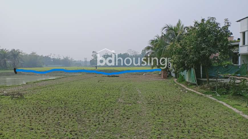 35 Shotok Land for Farming, Industry, Factory, Baganbari, Warehouse, Cattle Farm., Agriculture/Farm Land at Narayangonj Sadar