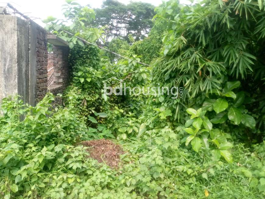 Prawdip Chowdhury , Agriculture/Farm Land at Boalkhali