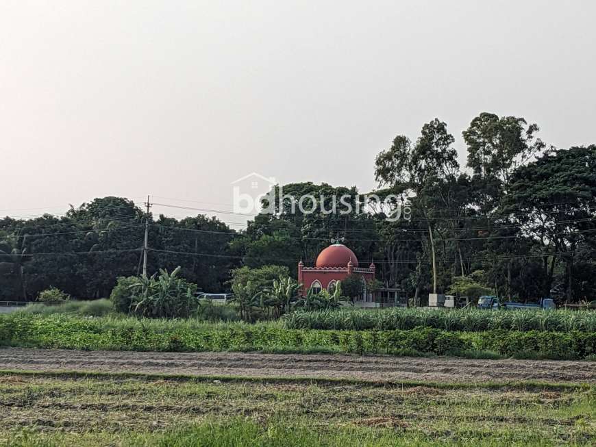 Sirajdikhan, Munshiganj; 322 decimals of ancestral land for sale in 5 deeds!, Residential Plot at Sirajdikhan