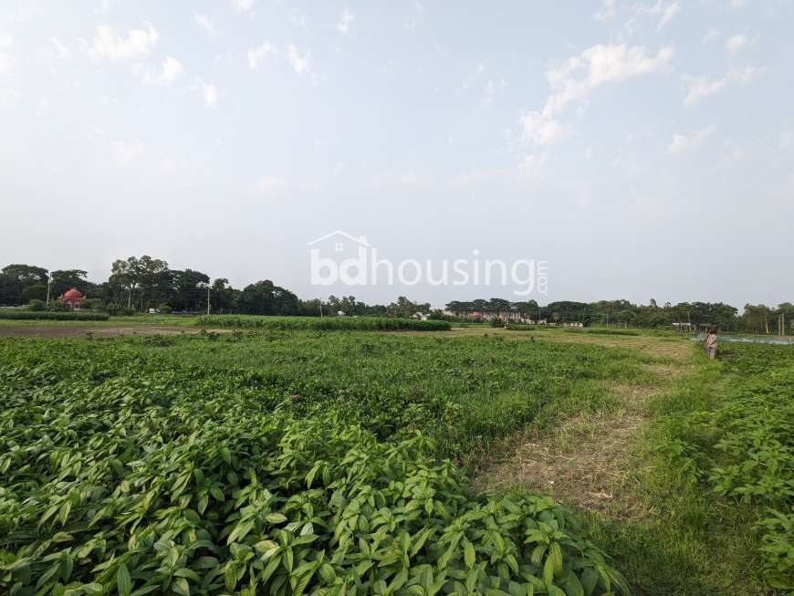 Sirajdikhan, Munshiganj; 322 decimals of ancestral land for sale in 5 deeds!, Residential Plot at Sirajdikhan