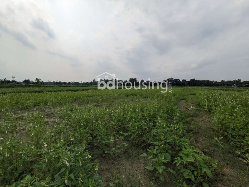 Sirajdikhan, Munshiganj; 322 decimals of ancestral land for sale in 5 deeds!, Residential Plot at Sirajdikhan