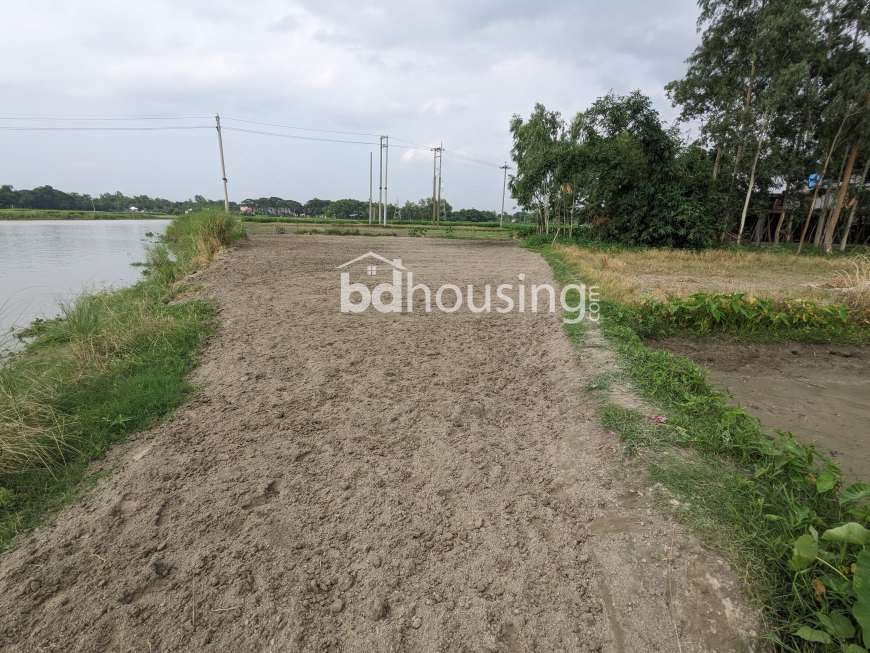 Sirajdikhan, Munshiganj; 322 decimals of ancestral land for sale in 5 deeds!, Residential Plot at Sirajdikhan