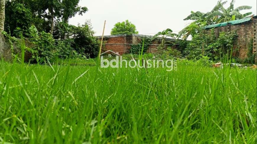 Jomi, Residential Plot at Sonadanga