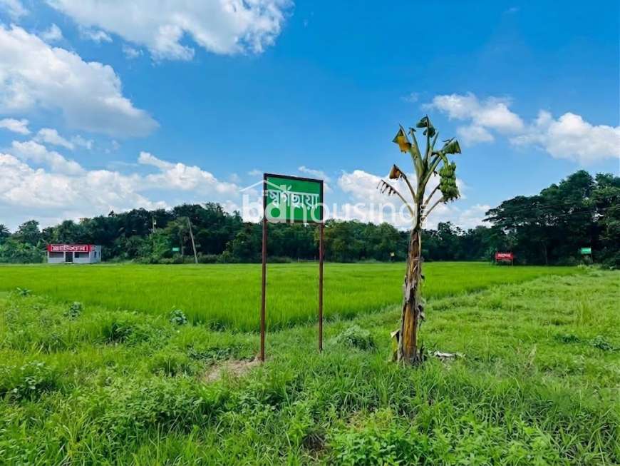Swapno Nibash, Residential Plot at Purbachal