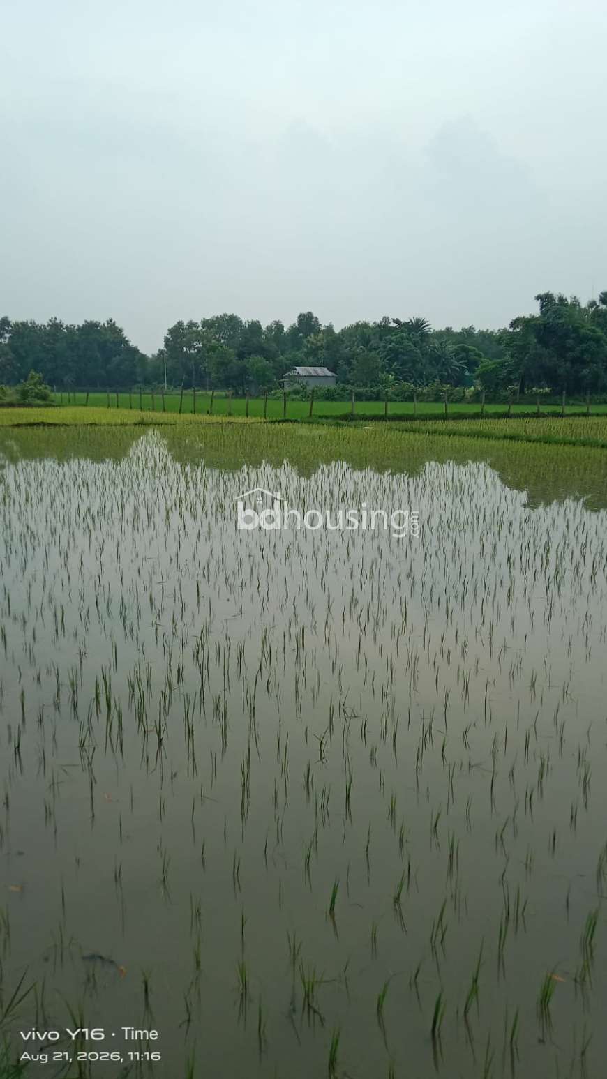 Land for Industry, Commercial Plot at Kaliakoir