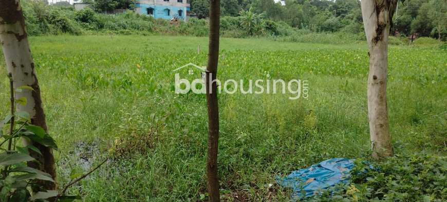 Self, Residential Plot at Karatia