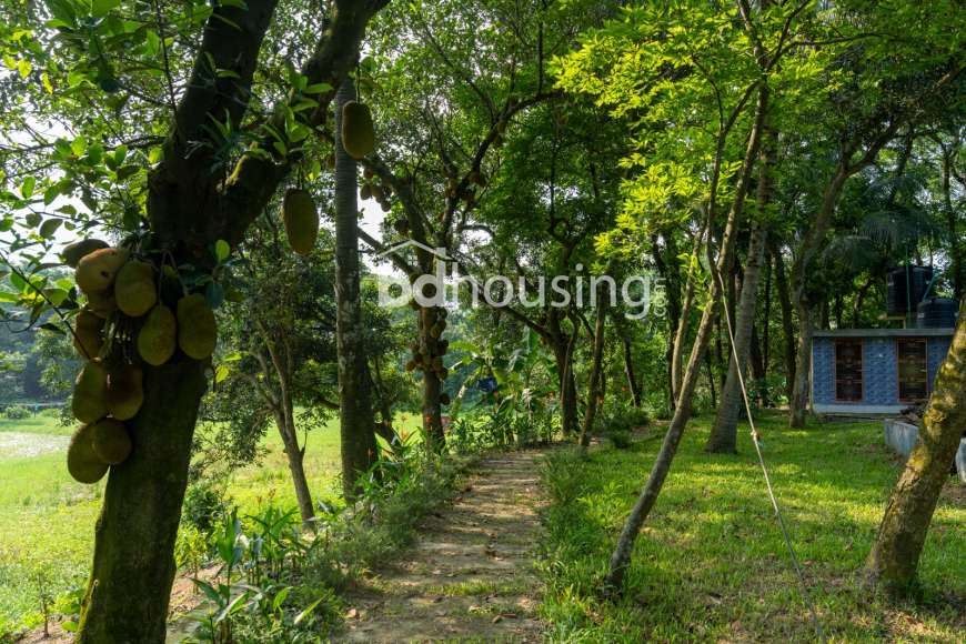 Urbana Green City, Residential Plot at Purbachal