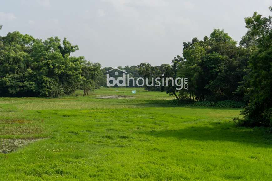 Urbana Green City, Residential Plot at Purbachal