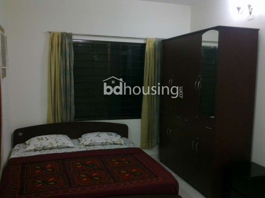 Full Furnished Apartment for Rent at Gulshan, Apartment/Flats at Gulshan 02