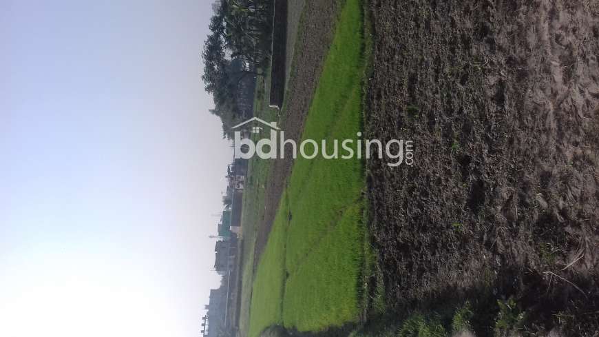 288 Shotok Land, Residential Plot at Hemayetpur