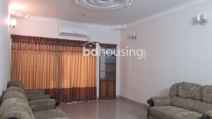 2950sft 4bed Used Apartments for Sale at Dhanmondi, Apartment/Flats at Dhanmondi