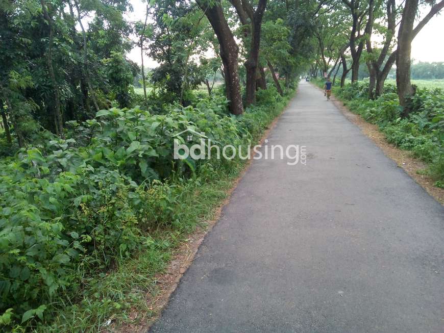 6 katha land at Hemayetpur, Residential Plot at Hemayetpur